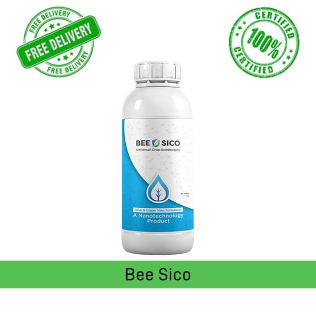 BEE-SICO